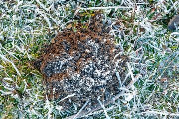 Top-down view of a frozen molehill covered in ice. The textured surface glistens in the cold light, showcasing intricate frost formations and the harsh beauty of winter nature