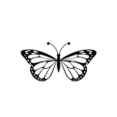 Elegant Black and White Butterfly Illustration: Nature, Insect, Wings, Wildlife, Design, Graphic, Symbol, Icon, Vector, Clipart, Silhouette, Drawing