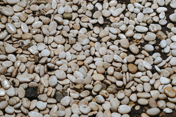 white coral stone, good for background
