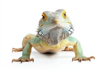 Obraz premium Vibrant Green Lizard Close-Up