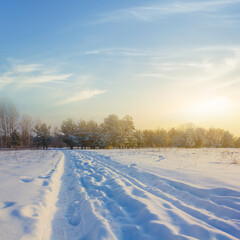 Obraz premium winter snowbound plain at the sunset, evening seasonal outdoor landscape
