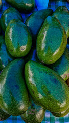abacate - avocado