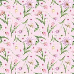 Seamless pattern of pastel pink light violet yellow bud Tulips and Raspberries watercolor illustration isolated on background. Hand drawn delicate spring flower for spring wedding repeat design