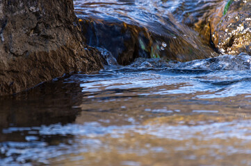 渓流の清らかな流れ