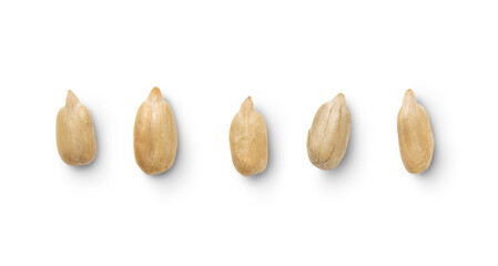 Peeled sunflower seeds isolated on transparent background
