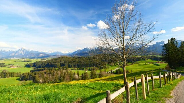 Spring in Germany: Vibrant Nature Awaits with Sunshine, Fresh Air, and Scenic Landscapes