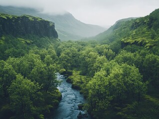 Misty river valley in Iceland, lush green landscape, tranquil nature scene, travel postcard.