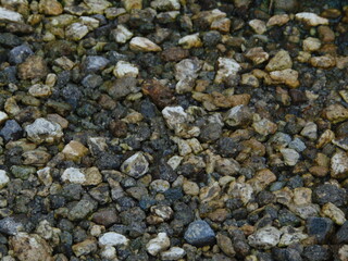 Close-up of wet gravel stones in various natural shades of brown, white, and gray. Ideal for backgrounds, textures, and nature-themed designs.