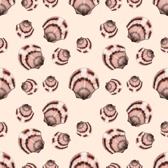 Semirealistic pattern of shell .Hand-drawn shell pattern. Shell isolated pattern for background. Spring, summer, autum season concept, Easter, nature. Design for card, print, and cover.