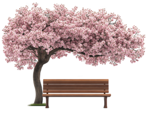 serene garden scene featuring classic wooden bench under blooming cherry tree, creating peaceful atmosphere perfect for relaxation and contemplation