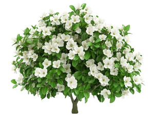 beautiful apple tree in full bloom, adorned with white blossoms and lush green leaves, creating serene and refreshing spring atmosphere