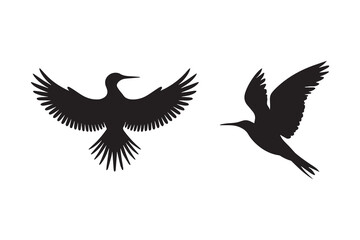 Bird silhouette vector with white background 