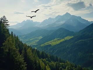 Naklejka premium Eagles soaring over verdant valley, majestic mountains backdrop; nature photography for travel brochures.