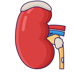 Kidney disease