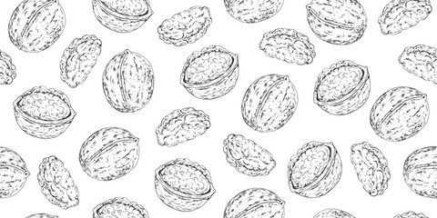 Seamless pattern with walnuts. Sketch style whole walnut. Black and white vintage background with nuts