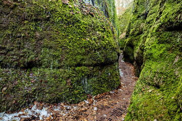 The Dragon Gorge at Eisenach in Thuringia