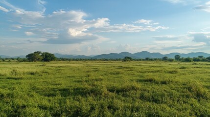 Lush green field, mountain backdrop, sunny day, peaceful landscape, nature scene.