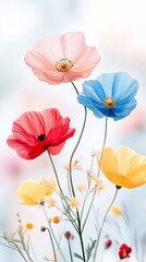 Obraz premium Vibrant Poppy Flowers in a Soft Spring Meadow