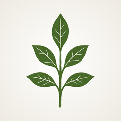  Plant, nature and ecology