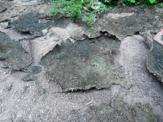 A layer of peeling plaster on the surface of a concrete wall can be used as a background.