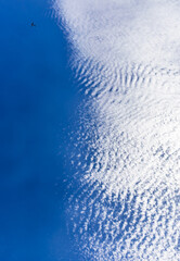 Cirrocumulus clouds on a bright summer's day.