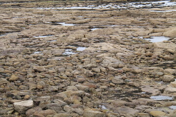 The Rocks and Pools of a Tidal Seaside Coast.