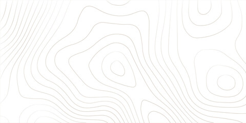 Topography background. Vector banner. Topography background. Vector geographic contour map. Background of the topographic map. Topographic map lines, contour background. 