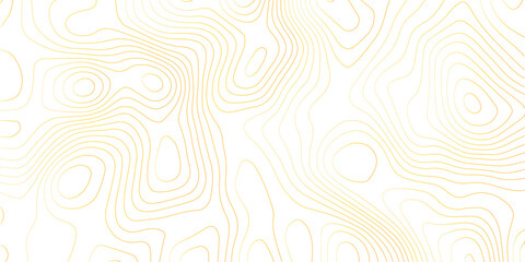 Topography background. Vector banner. Topography background. Vector geographic contour map. Background of the topographic map. Topographic map lines, contour background. 