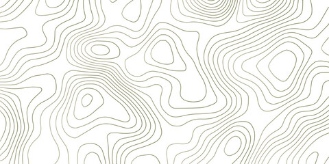 Geography landscape Topo contour map on white background, Topographic contour lines. Seamless pattern with lines Topographic map. Geographic mountain relief diagram line wave carve pattern. 