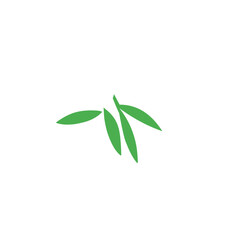 bamboo leaf vector