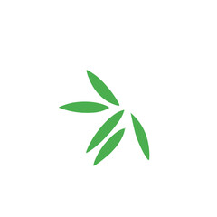 Obraz premium bamboo leaf vector