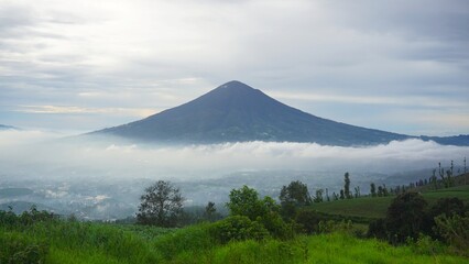 Fototapeta premium beautiful morning view with a sea of ​​white clouds, views of Mount