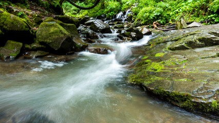Fototapeta premium Serene forest scene, small stream flowing over vibrant green moss-covered rocks. Surrounding trees, foliage add to lushness Europe