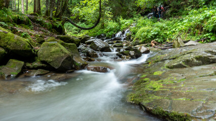 Serene forest scene, small stream flowing over vibrant green moss-covered rocks. Surrounding trees, foliage add to lushness Europe