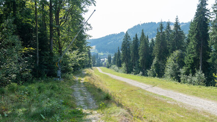 Fototapeta premium Beautiful natural landscape of forest mountains in summer. forested mountains. Natural landscapes of green forest. Travel, tourists. Ski resort in summer