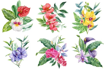 Gordijnen Tropische Bladeren Paradise flower. Tropical summer flowers painted watercolor, isolated exotic jungle bouquet for nature-inspired designs  © Hanna