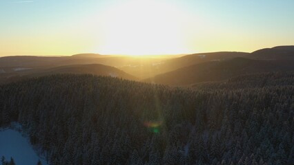 Winter forest in Thuringia in Germany