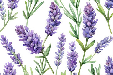 Naklejka premium Watercolor illustration of blooming lavender branches on a white background.