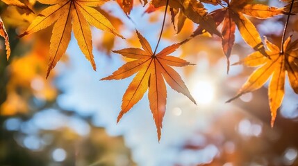 Close-up of vibrant golden autumn leaves on tree branches, gently swaying in the breeze."