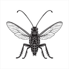 The Amazing Jumping Ability of Grasshoppers Explained
