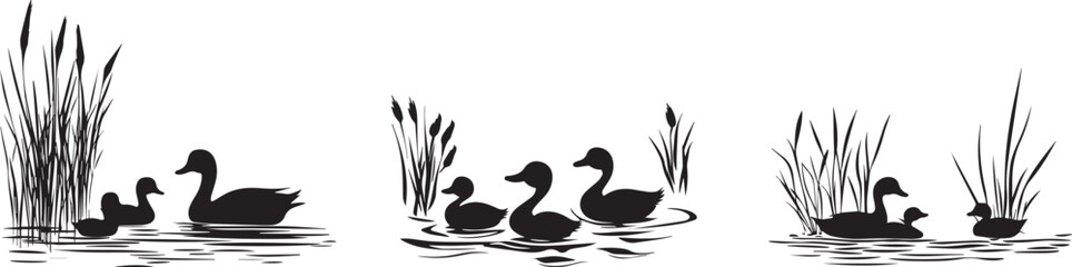 Silhouette of a family of ducks swimming vector silhouette