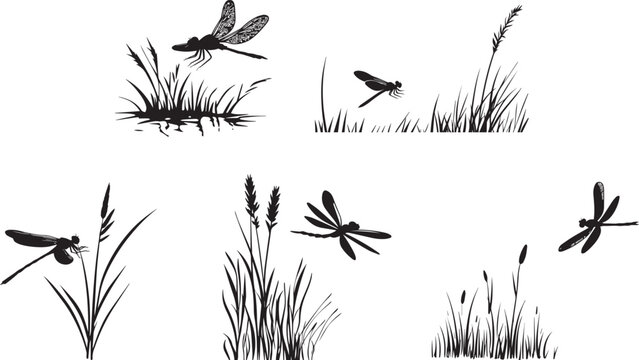 Silhouette of a dragonfly hovering over a grass vector silhouette