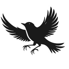 birdd