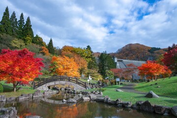 Fototapeta premium 紅葉のある風景