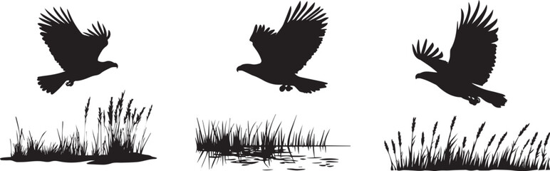 Silhouette of an eagle soaring above the grass vector silhouette
