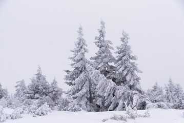 Karkonosze in winter in Poland. Winter mountain landscape...