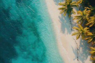 Tropical beach scene with palm trees and ocean.