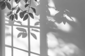 PNG White window shadow white light wall.