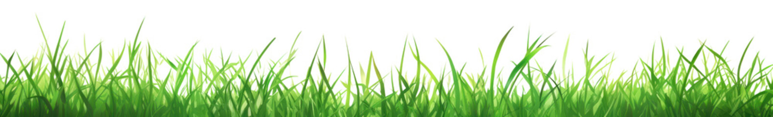 PNG Grass background outdoors sunlight.