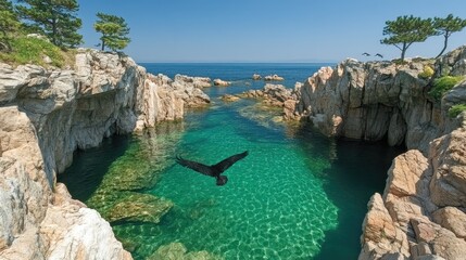 Naklejka premium Bird Soaring Over Crystal Clear Coastal Lagoon